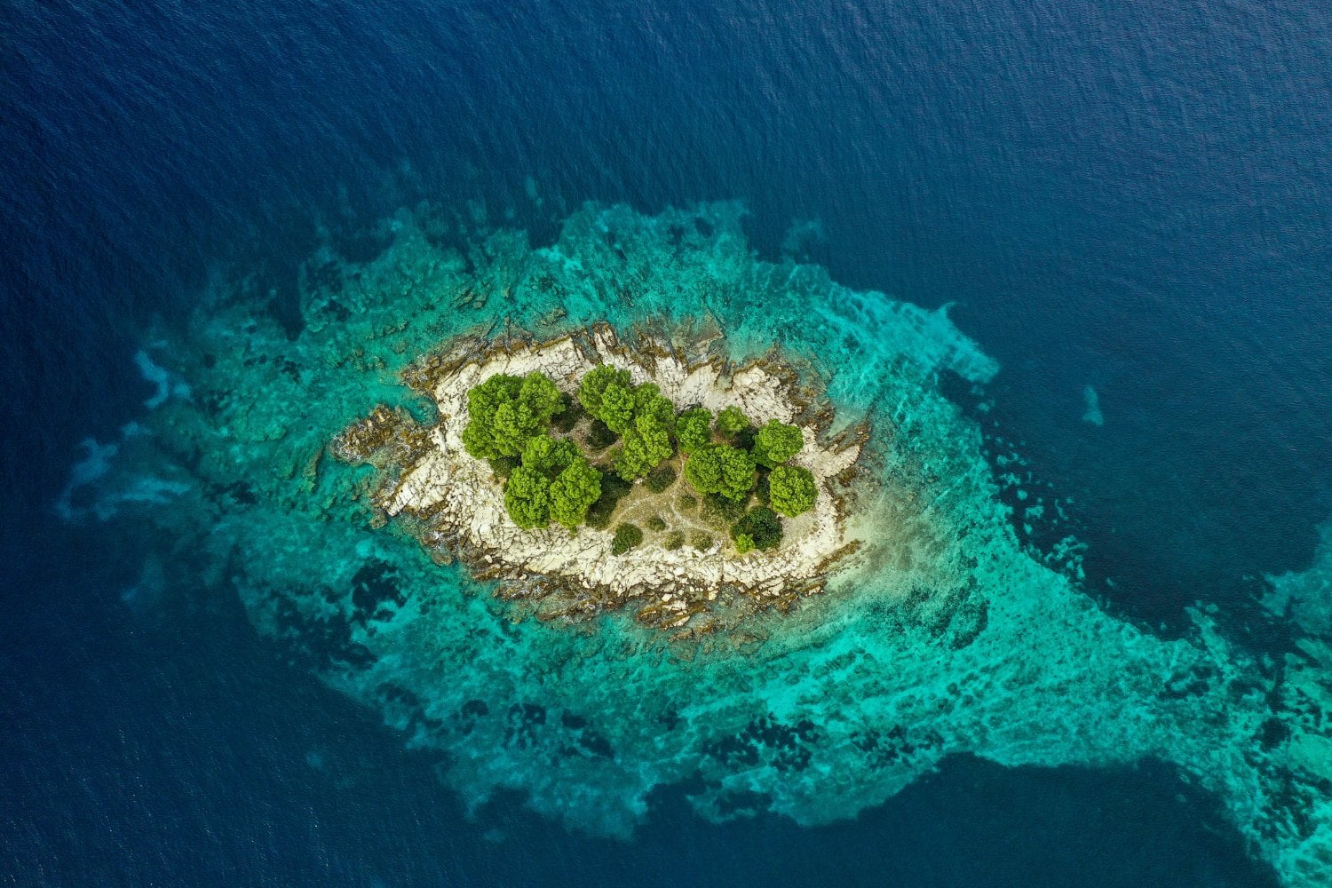 Isla De Minerva