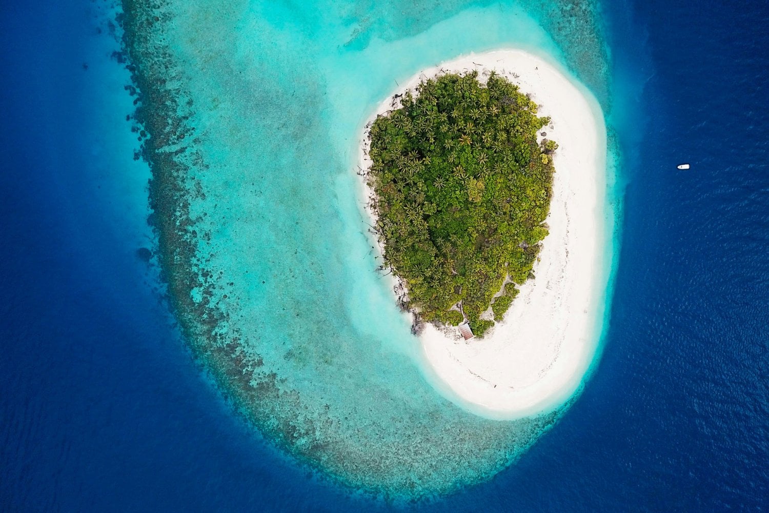 Islas Maldivas Y El Peligro Del Oceano