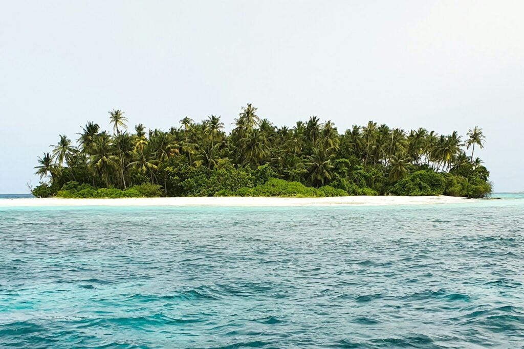 La Isla Deshabitada Reclamada Por Cuatro Paises Del Mundo