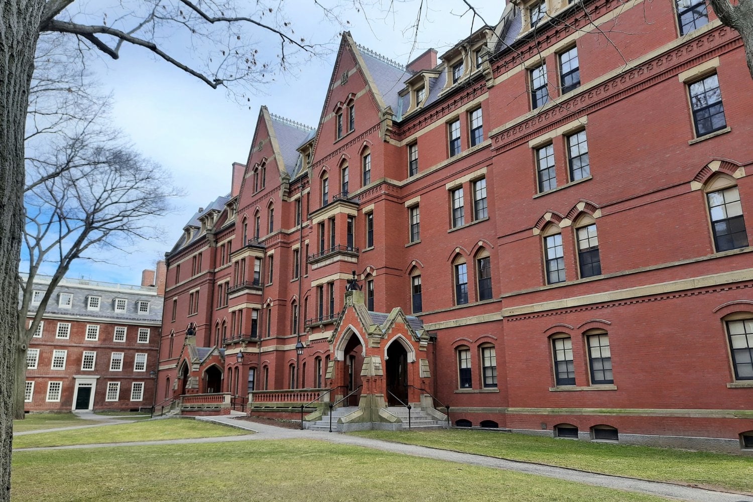 La Universidad De Harvard No Podra Inscribir Extranjeros