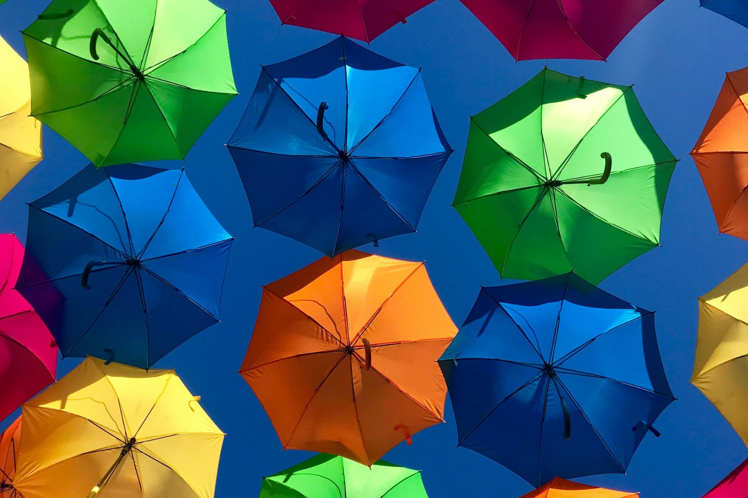 Paraguas De Colores
