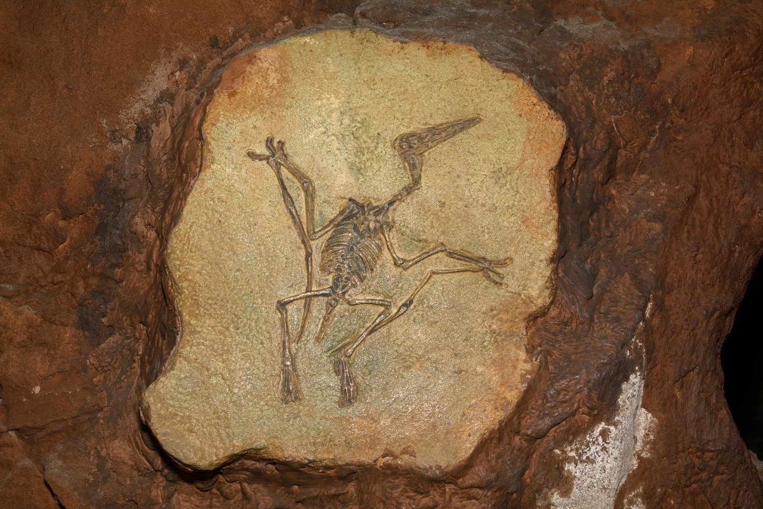 Pterodactyl