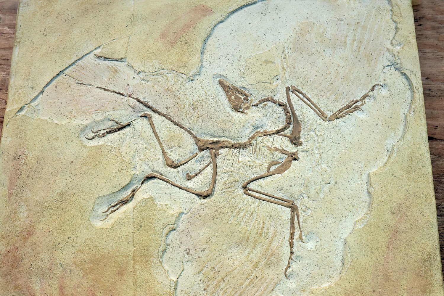 Pterodactyl