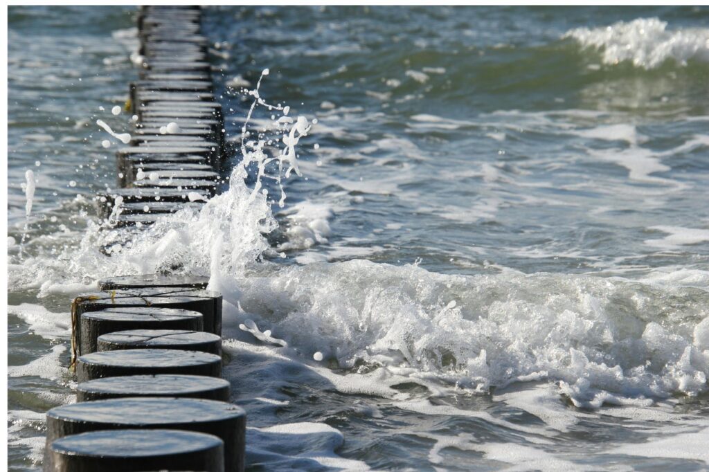 15x10cm 2025 06 17t224227.720