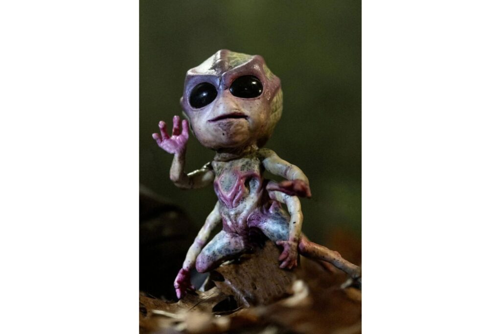 15x10cm 2025 06 18t232713.246