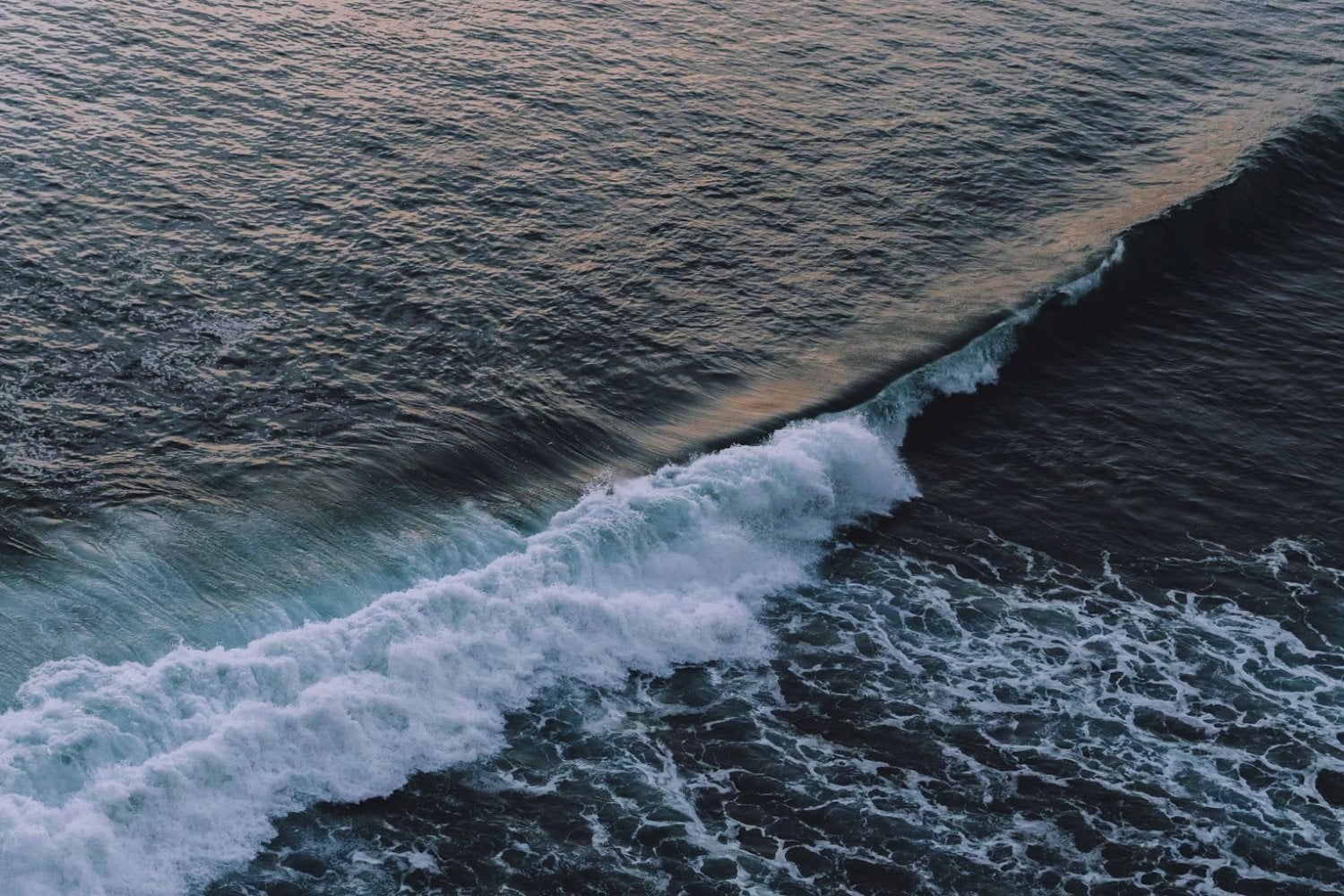 La NASA descubre miles de montañas ocultas bajo el mar: ¿podrían crear la próxima ola gigante?