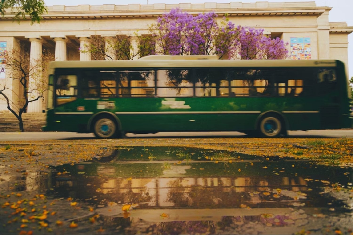 La única que resiste: cómo la UBA se mantiene en la élite académica mundial en plena crisis