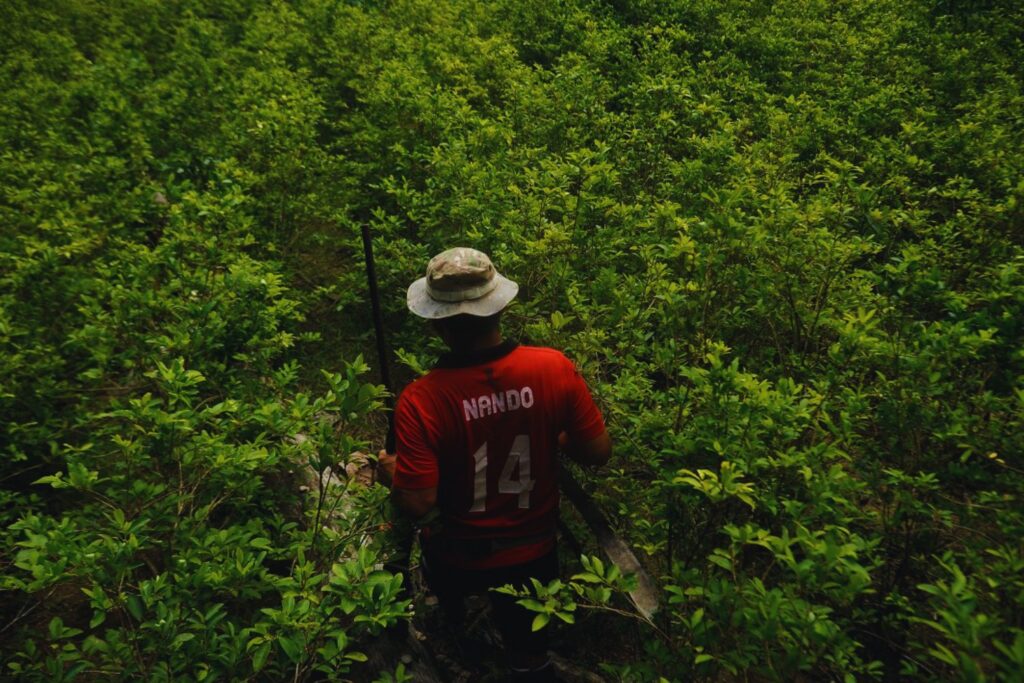 El verdadero mapa del narco: cómo la cocaína desangra la Amazonía y amenaza a sus pueblos