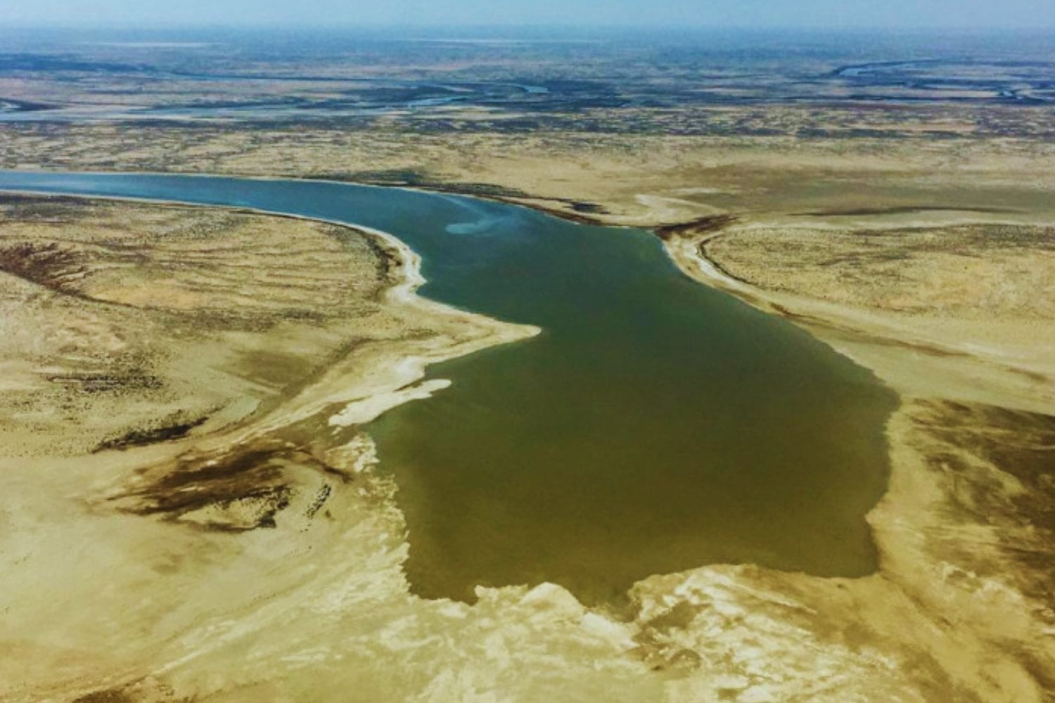 El desierto despertó: un lago olvidado vuelve a la vida y desata una explosión de naturaleza
