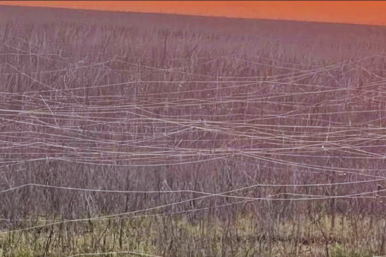 El legado invisible de los drones: la red tóxica que amenaza a Ucrania (y al planeta)