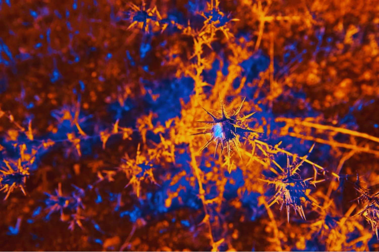 El experto que no quiere tener hijos hasta que el cerebro humano se conecte con computadoras