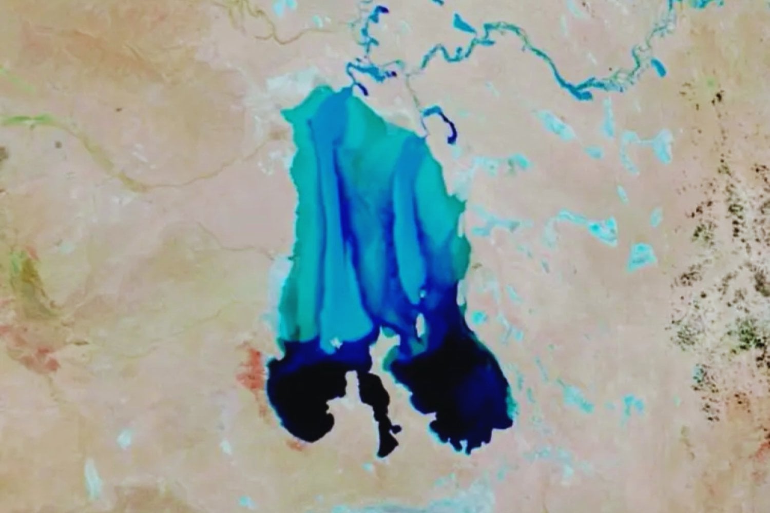 El desierto despertó: un lago olvidado vuelve a la vida y desata una explosión de naturaleza