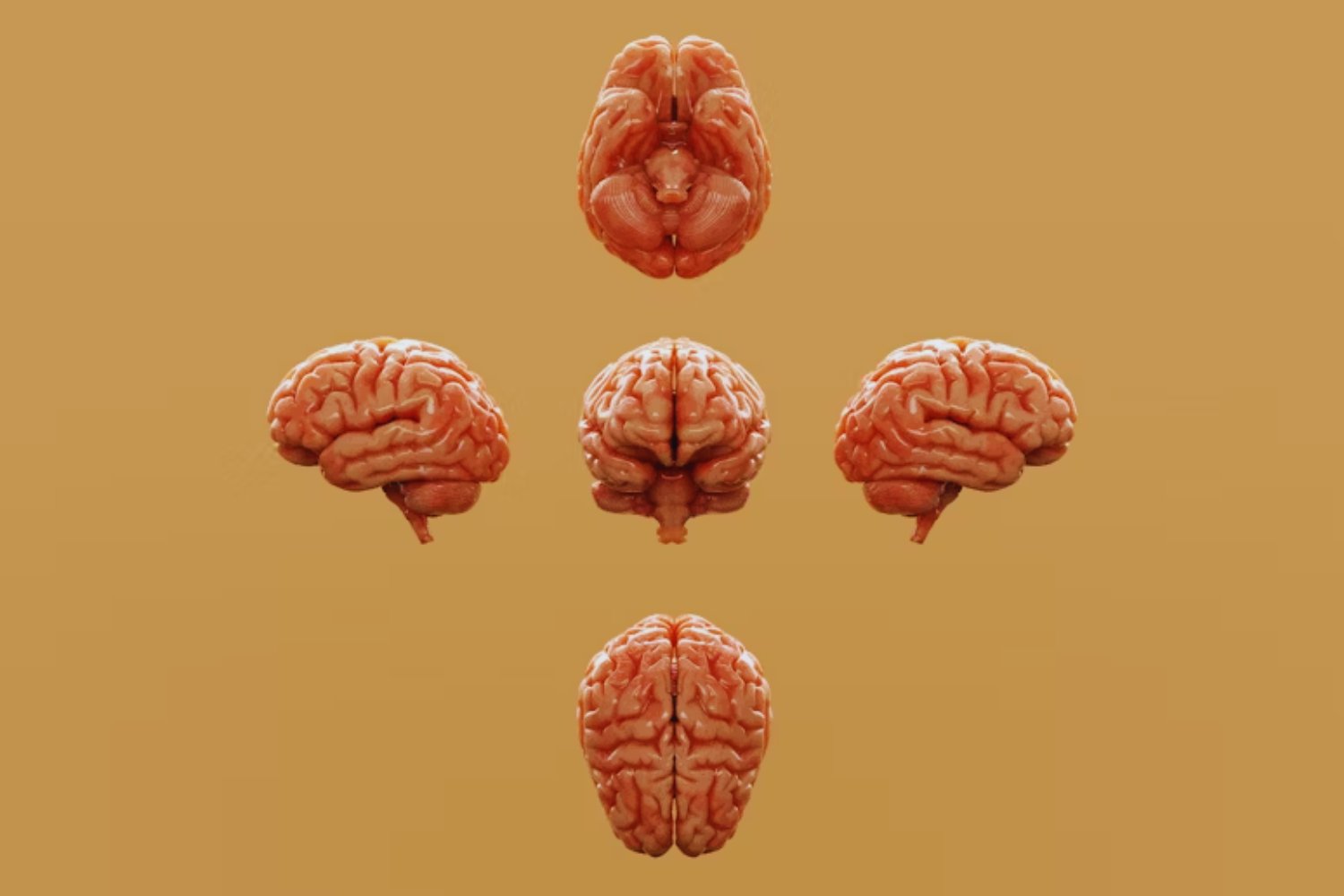 El experto que no quiere tener hijos hasta que el cerebro humano se conecte con computadoras