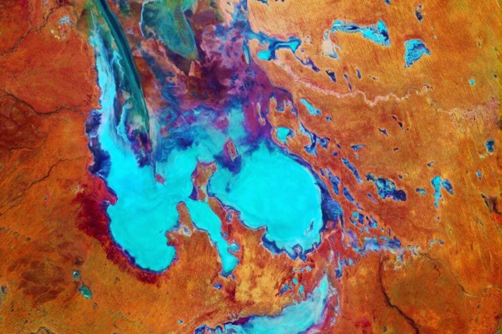 El desierto despertó: un lago olvidado vuelve a la vida y desata una explosión de naturaleza