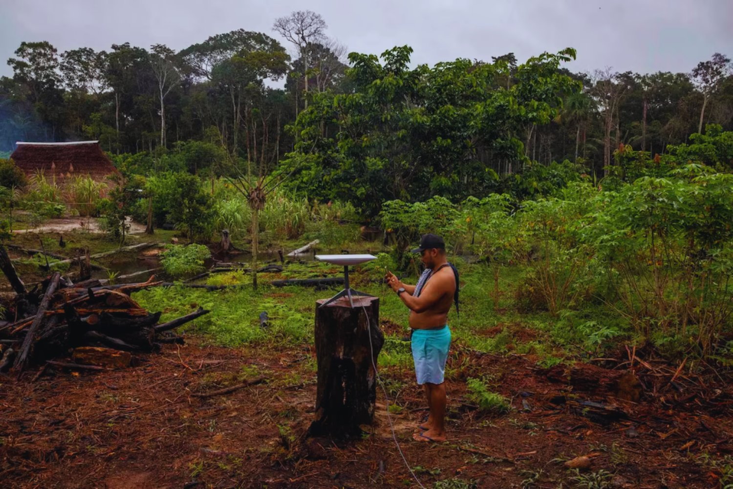 Brasil y Starlink pactan un control inédito: internet satelital dejará de ser aliado del crimen en la Amazonía