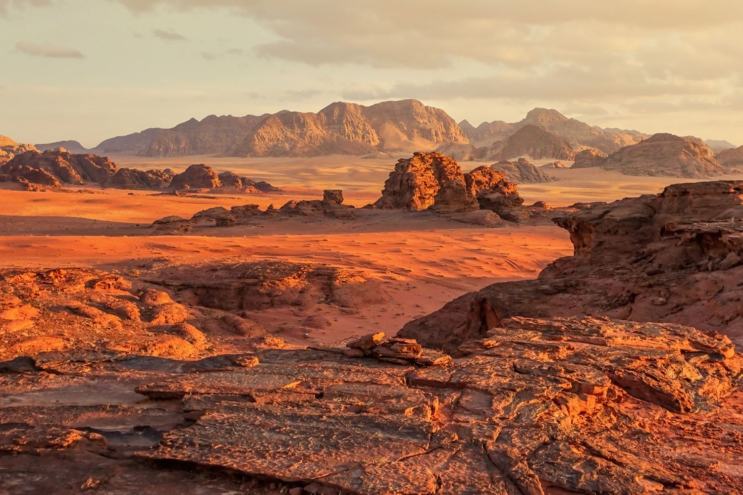 Diseño Sin Título (19)