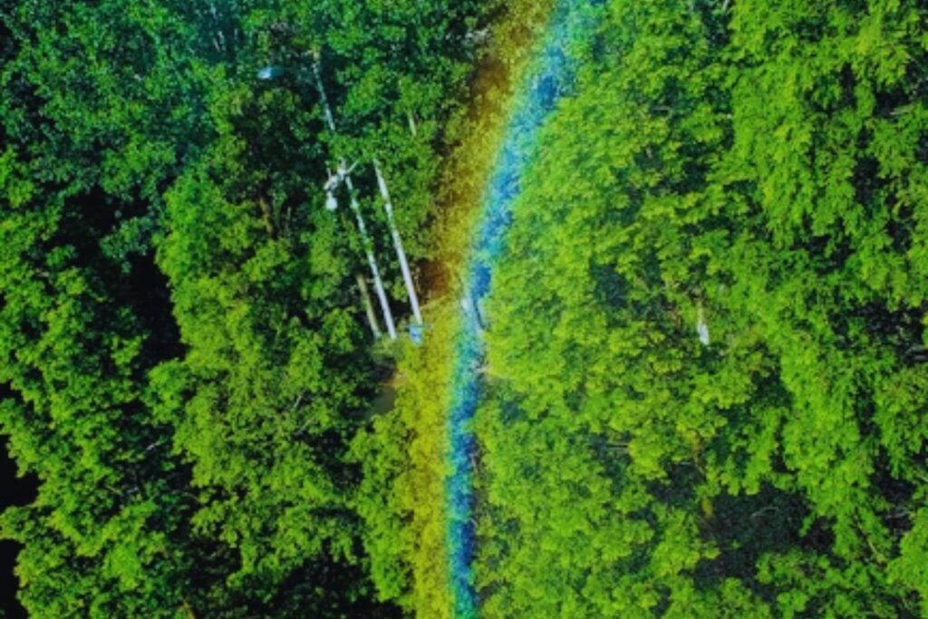 Brasil y Starlink pactan un control inédito: internet satelital dejará de ser aliado del crimen en la Amazonía