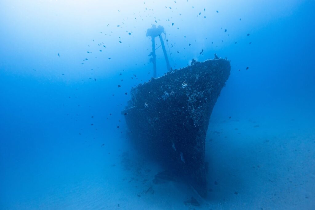 Diseño Sin Título (20)