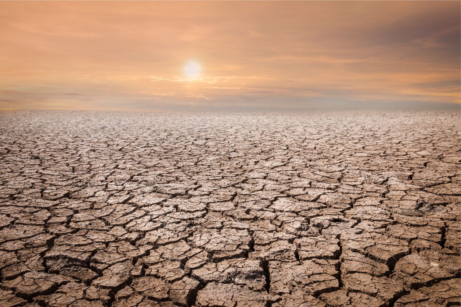 Diseño Sin Título (20)