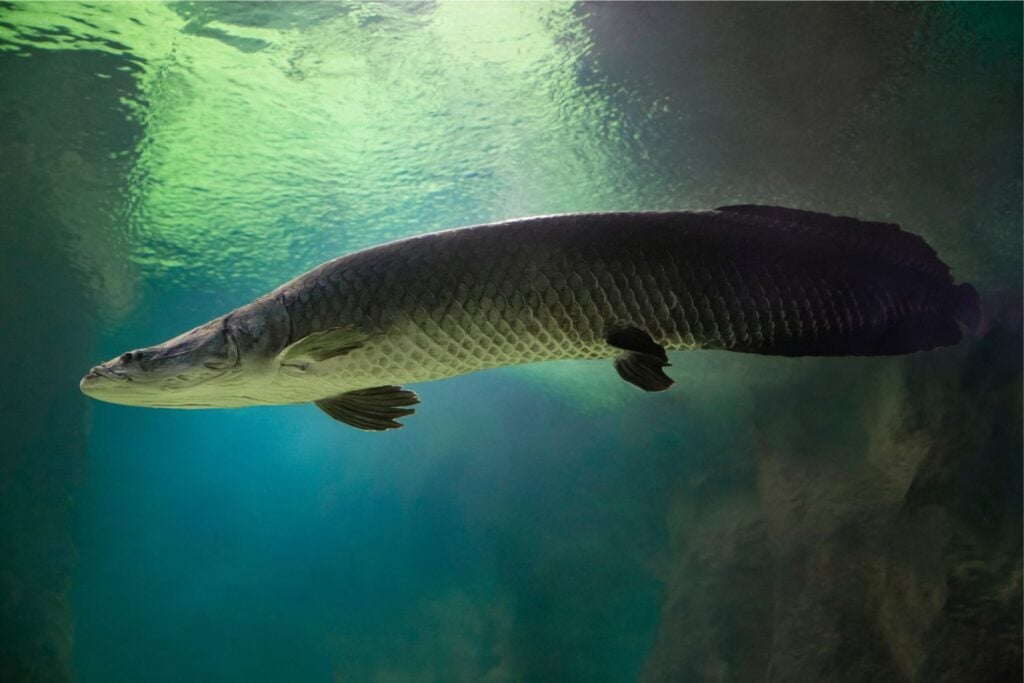 Diseño Sin Título 2025 06 25t091756.643