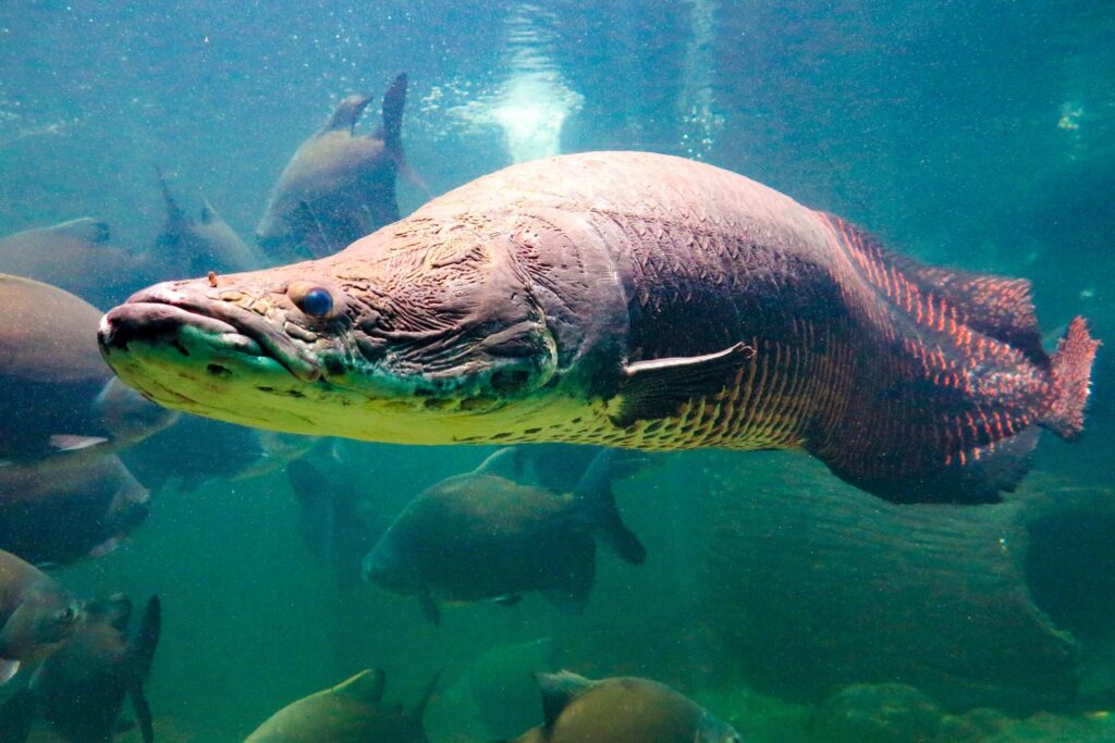 Diseño Sin Título 2025 06 25t091913.771