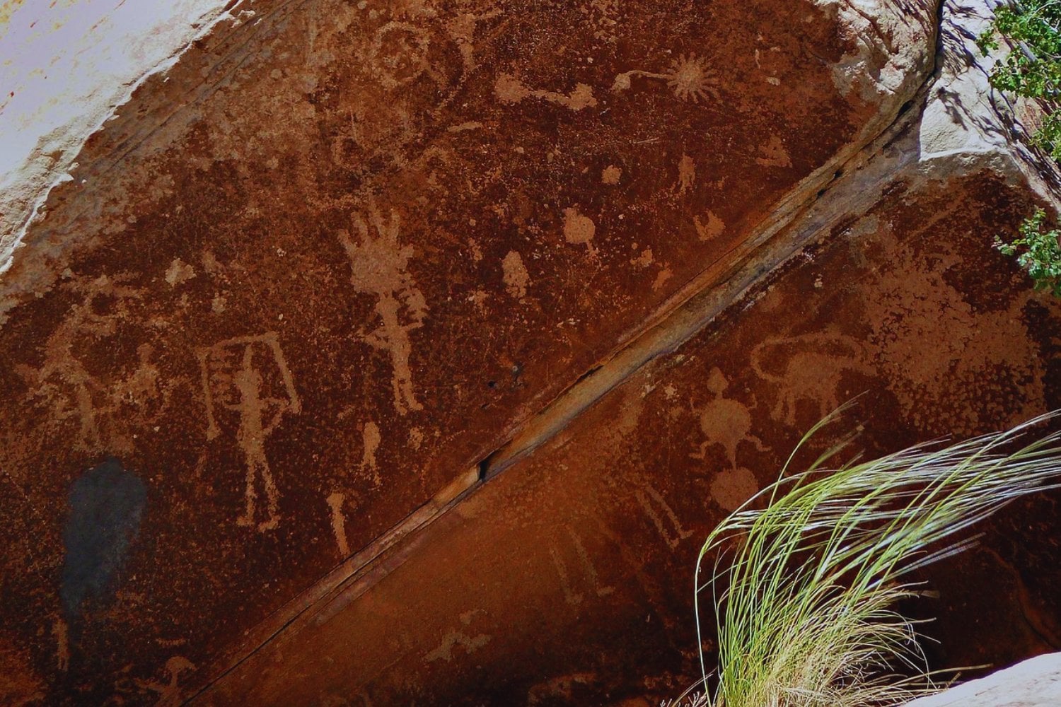 Lo que ocultaban las rocas australianas: el hallazgo que reescribe la historia del arte rupestre