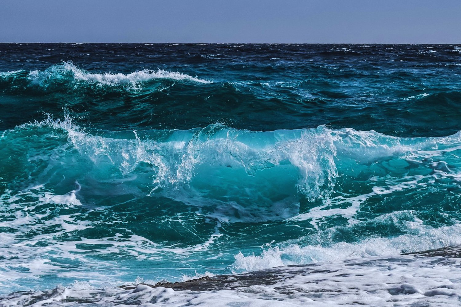Salvar el mar empieza por sentirlo: el plan que podría cambiarlo todo