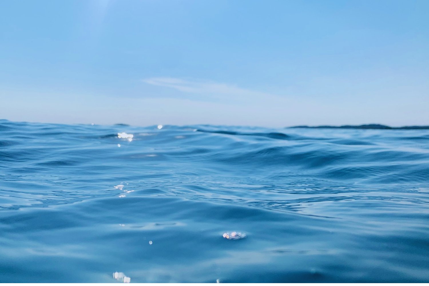 Salvar el mar empieza por sentirlo: el plan que podría cambiarlo todo