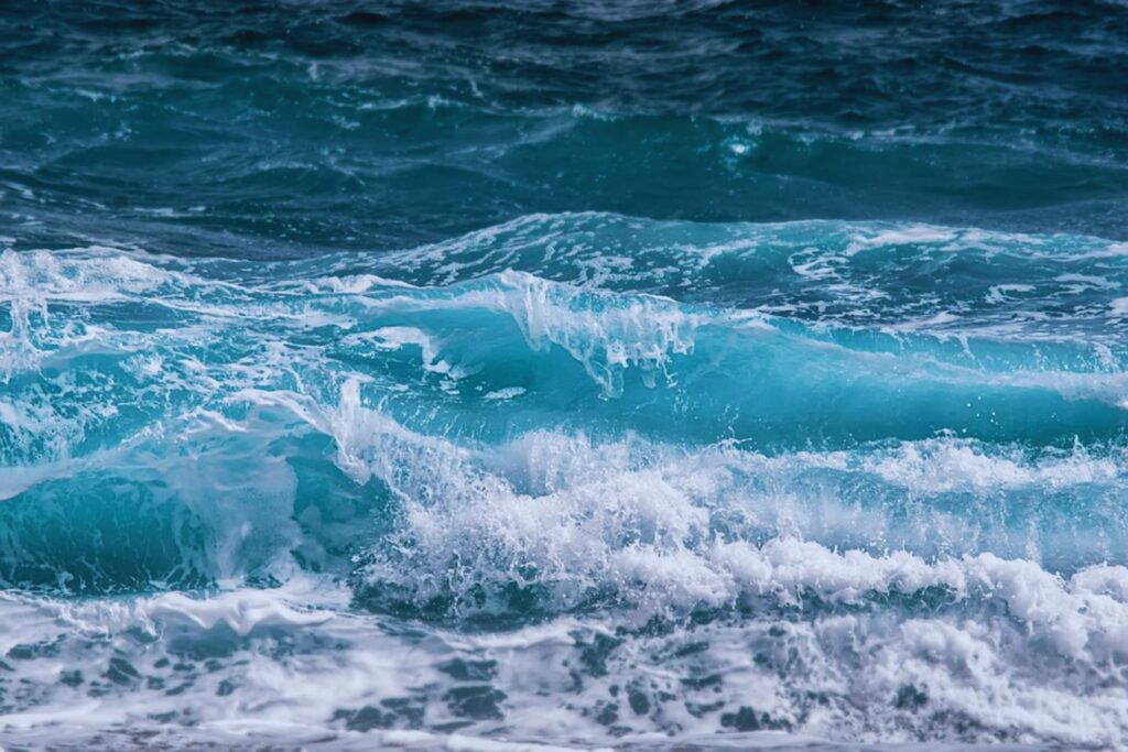 Salvar el mar empieza por sentirlo: el plan que podría cambiarlo todo