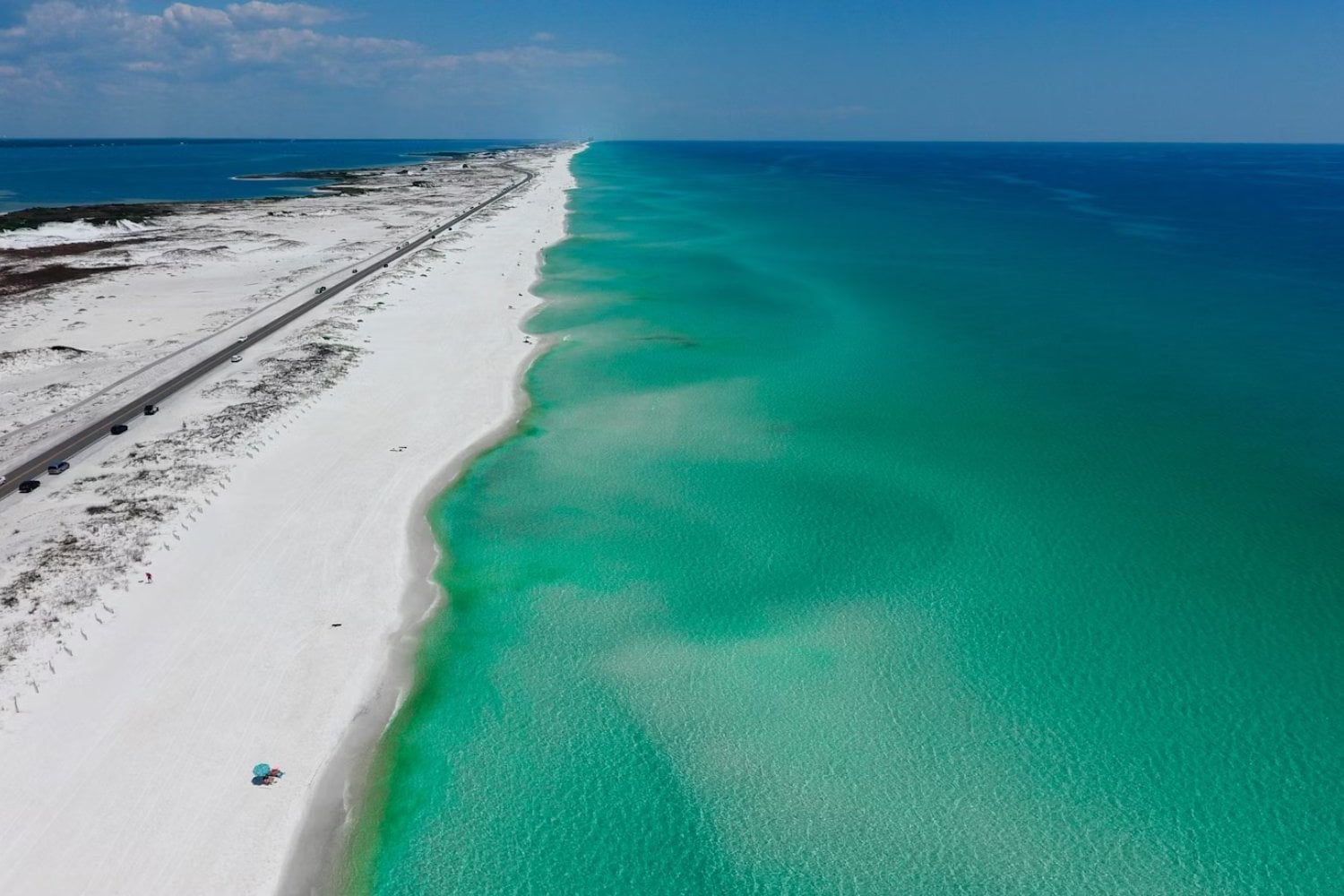 El océano se está asfixiando: la amenaza invisible que pone en peligro a México