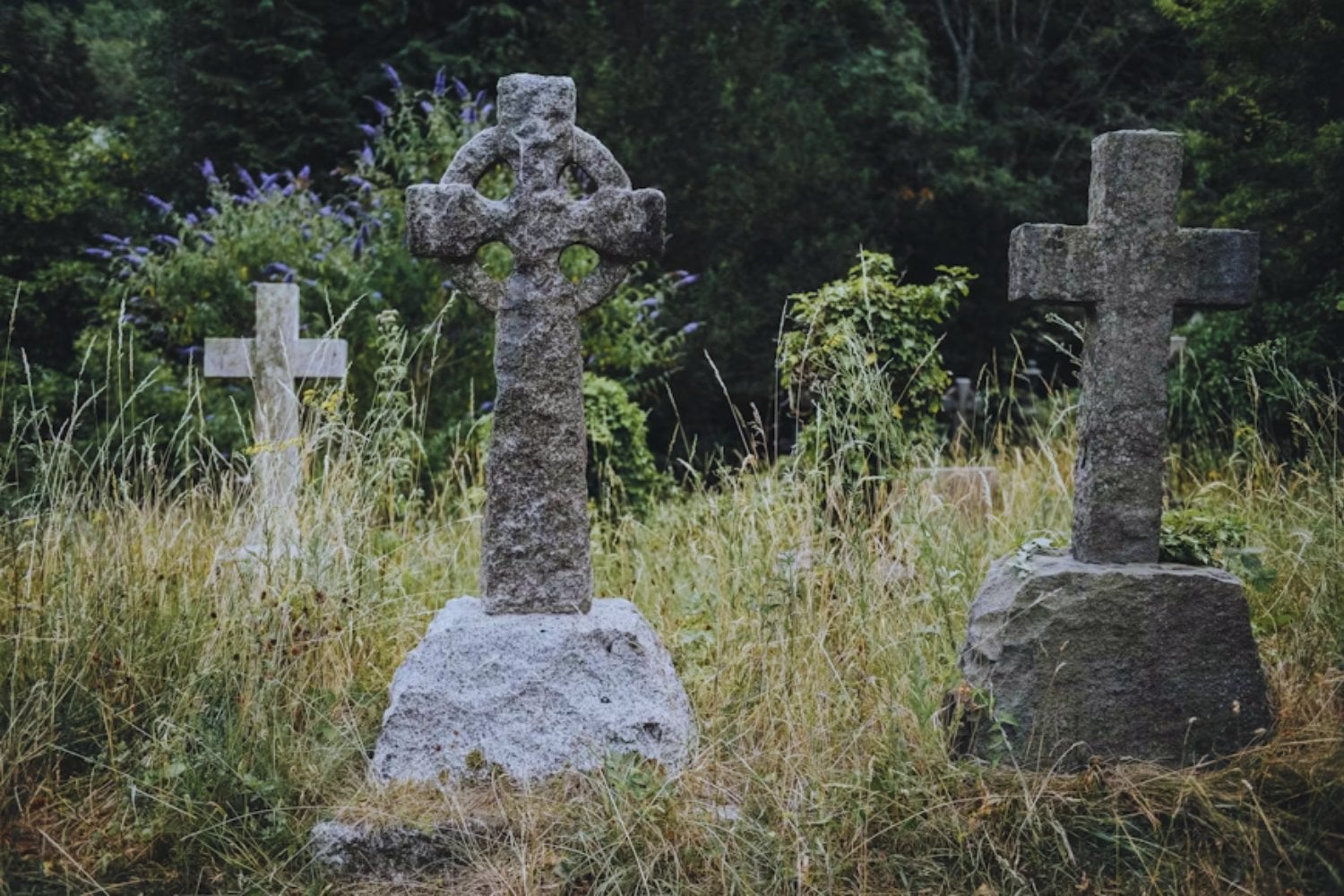 La aldea olvidada que quiere destronar a Drácula: ¿nació en Serbia el primer vampiro?