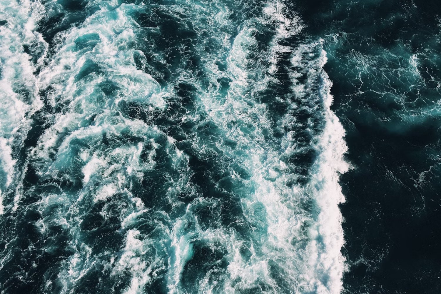 El océano se está asfixiando: la amenaza invisible que pone en peligro a México