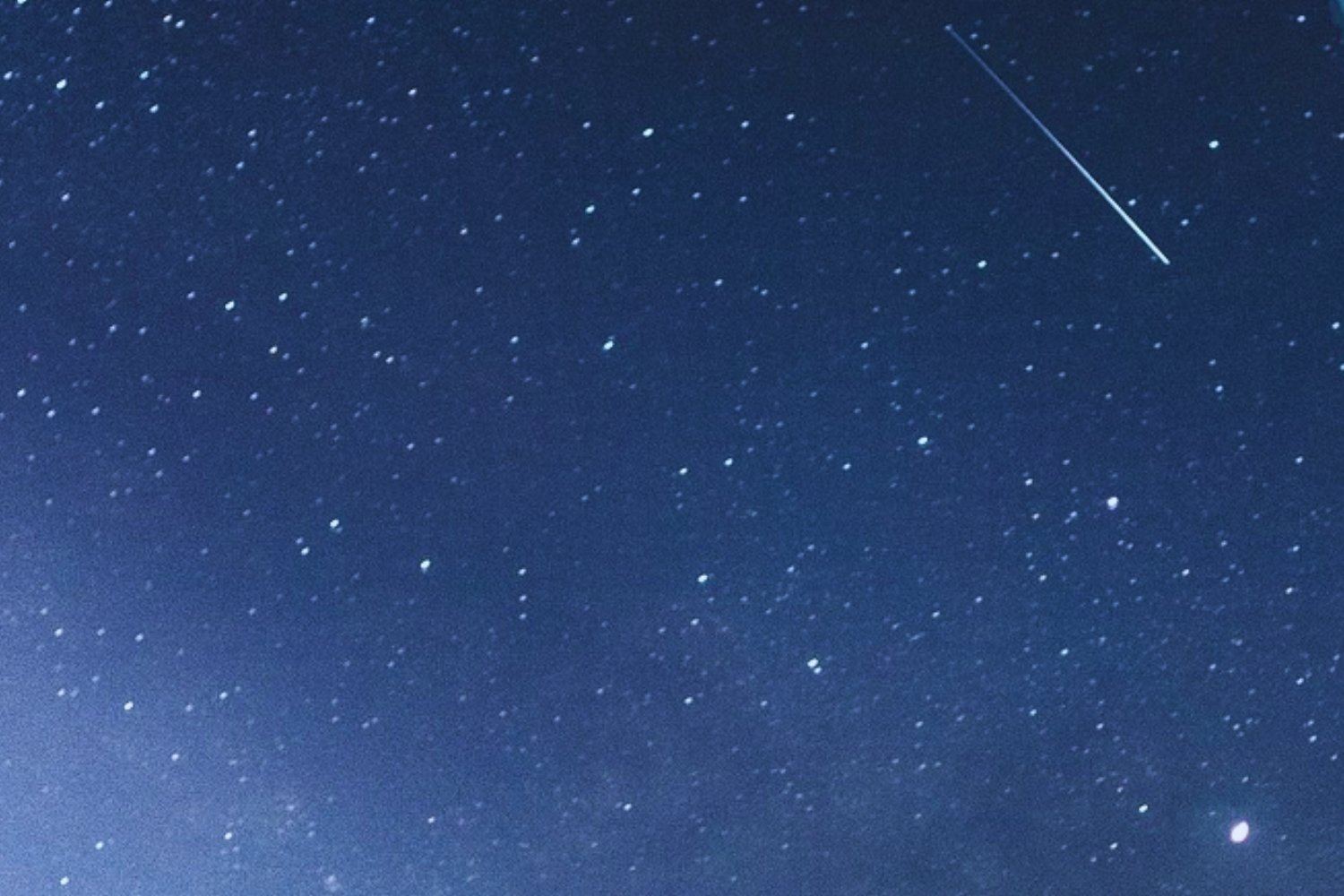 La migración estelar de una polilla: el enigmático GPS celeste del insecto australiano