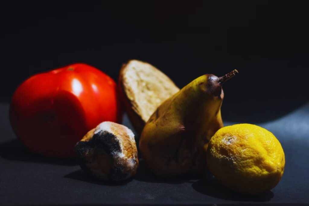 El secreto bajo la fruta podrida: torres vivientes de gusanos que se mueven como un solo ser