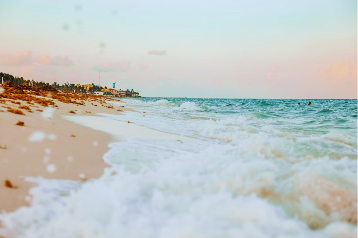 El océano se está asfixiando: la amenaza invisible que pone en peligro a México