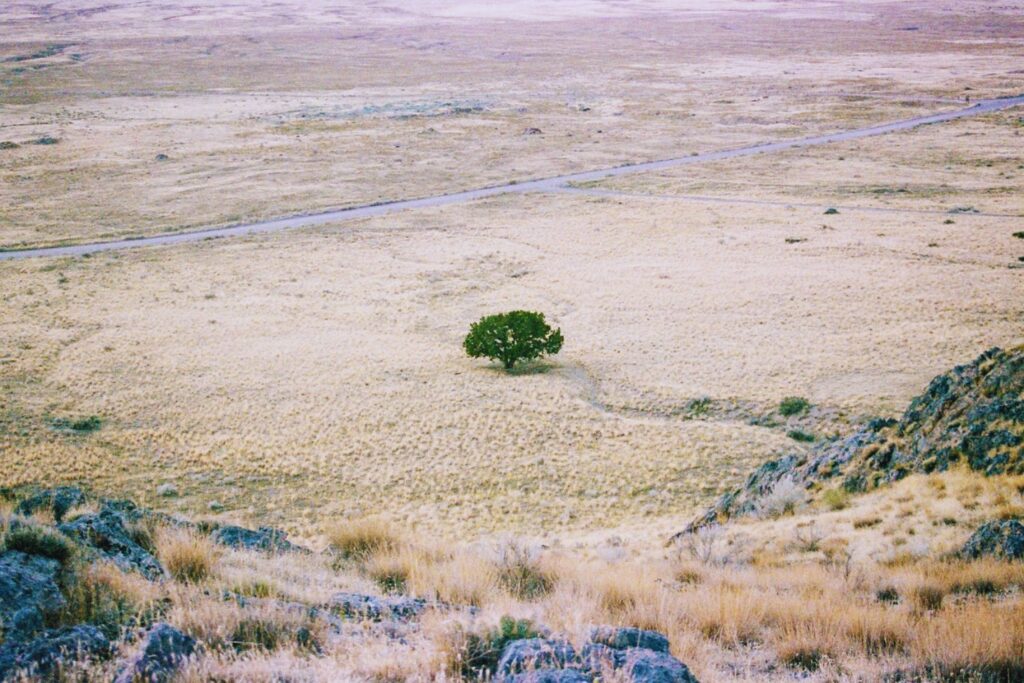El orden genético podría estar mal contado: un estudio sacude la teoría sobre el origen de la vida en la Tierra