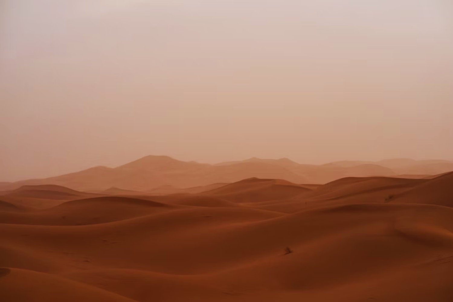 El viento del Sáhara que amenaza en silencio: descubren que transporta algo más letal que el polvo