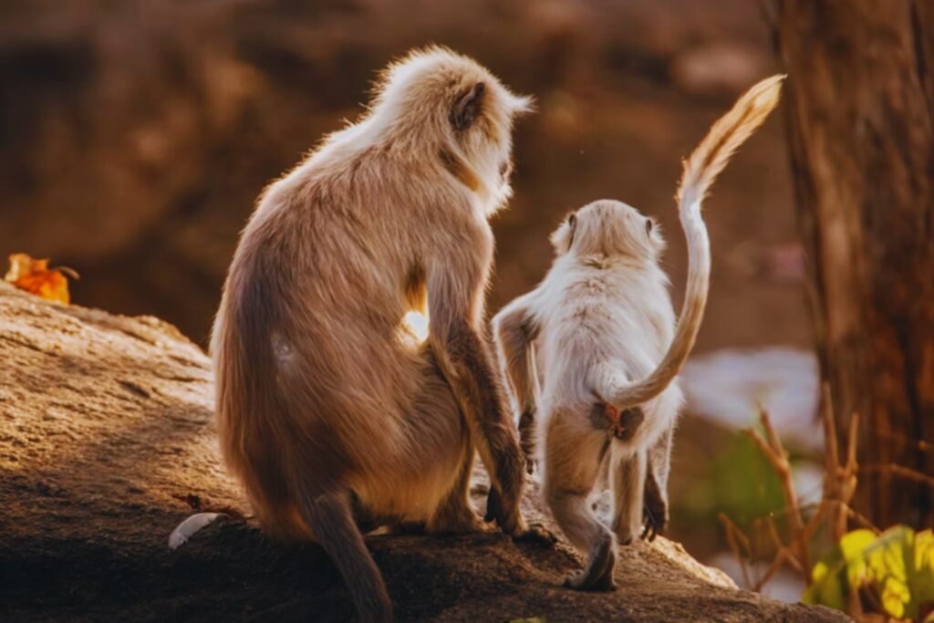 Cuando la naturaleza sorprende: por qué los padres ejemplares son tan raros en el reino animal