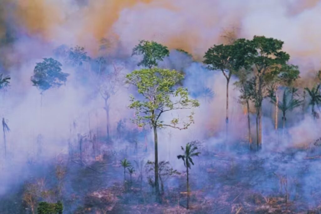Once veces Lima: el impacto invisible de la deforestación que arrasa la Amazonía peruana