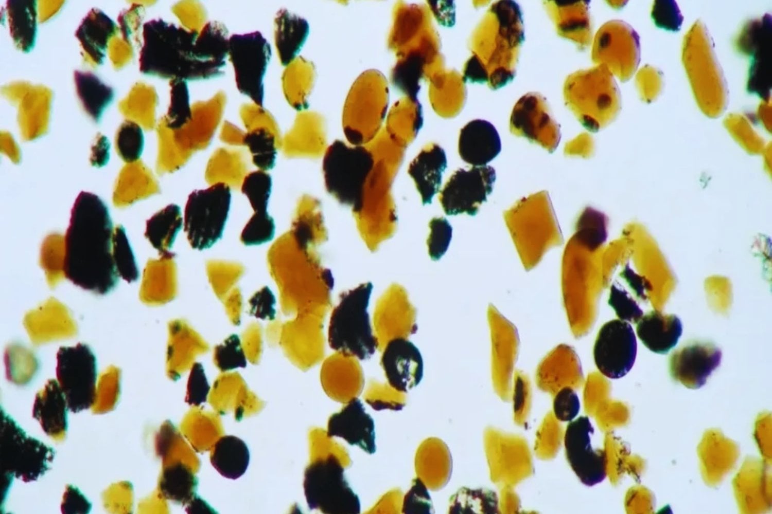 Unas diminutas perlas naranjas podrían cambiar el futuro en la Luna (y revelar su pasado explosivo)