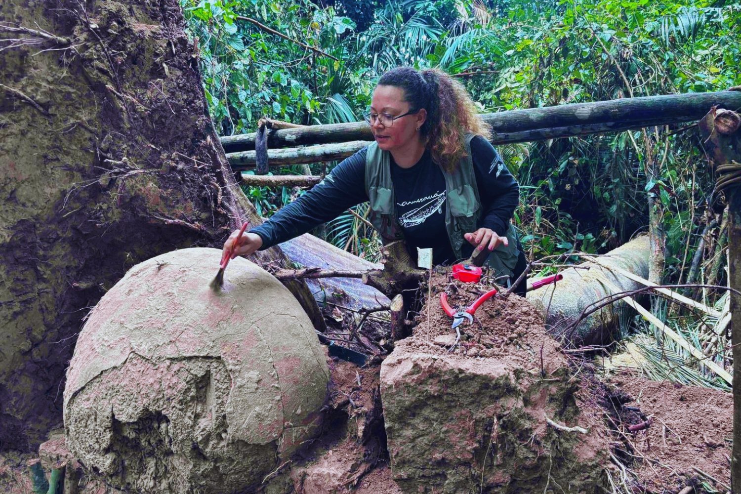 Lo que escondían las raíces: el misterio de las esferas halladas tras la caída de un árbol en el Amazonas