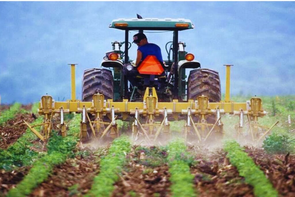 El país invisible que se alimenta solo: la sorprendente autosuficiencia total en Sudamérica - Guayana.