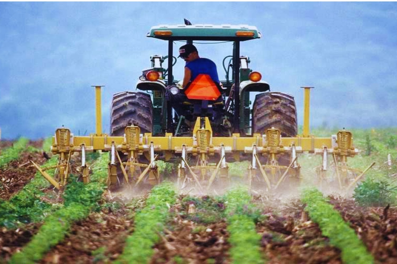 El país invisible que se alimenta solo: la sorprendente autosuficiencia total en Sudamérica - Guayana.