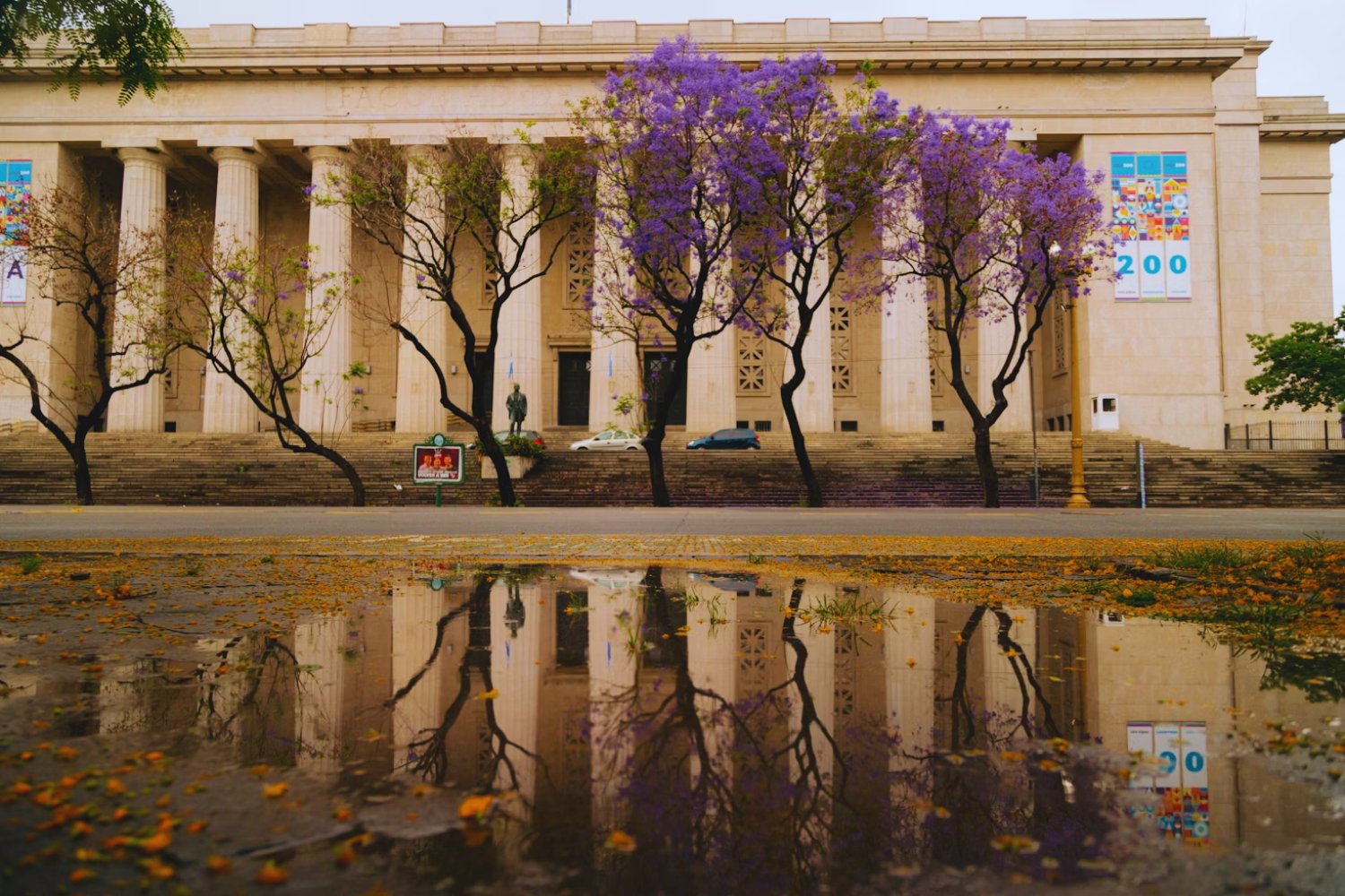 La ciudad que sorprende al mundo: Buenos Aires entre los destinos más accesibles para estudiantes internacionales