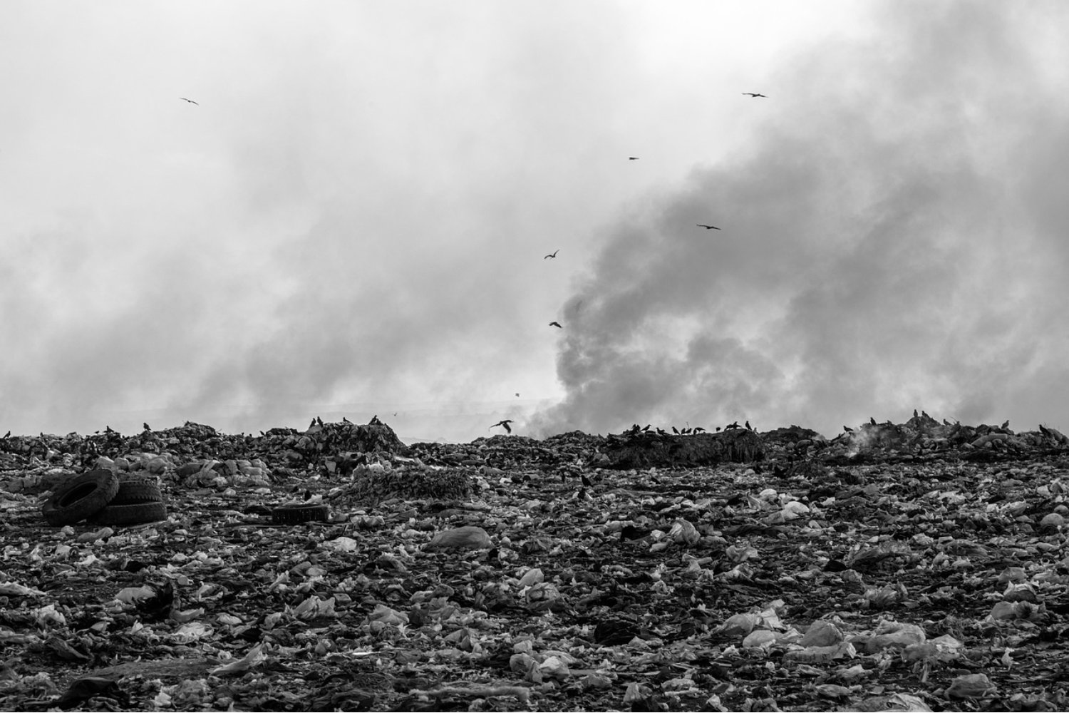 La nueva piedra del planeta: así convierte la humanidad su basura en rocas en solo 35 años