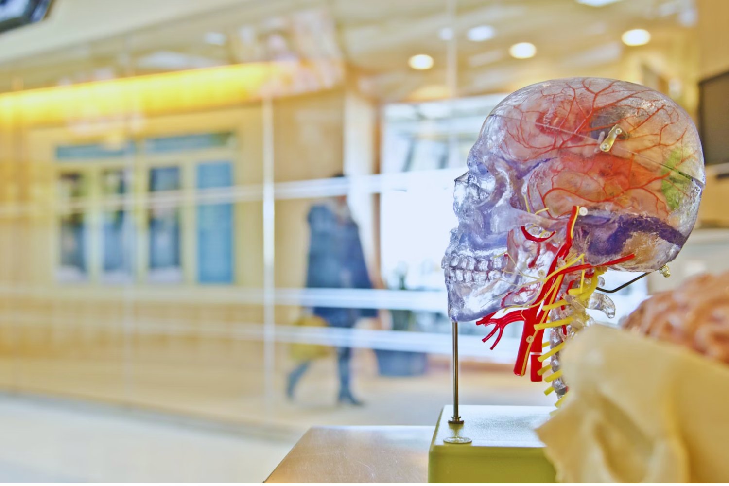 El cerebro humano ya no es privado: la mente, próxima frontera del poder en el siglo XXI