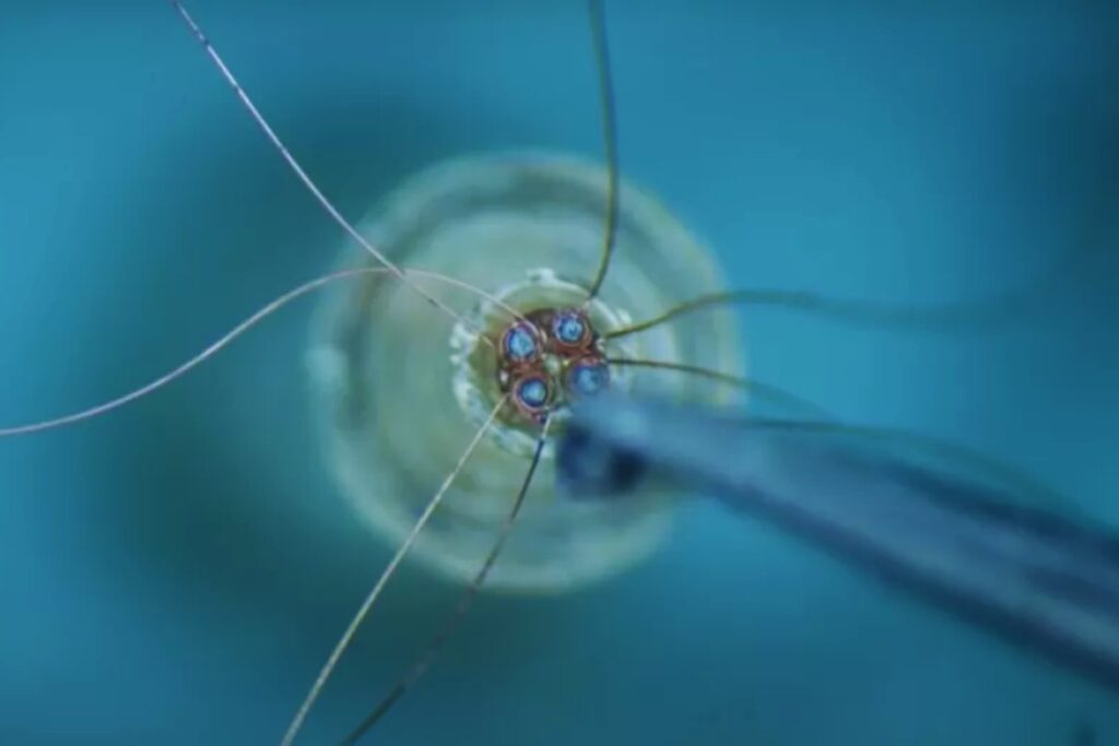 El motor invisible: científicos logran un hito que Feynman soñó hace 65 años