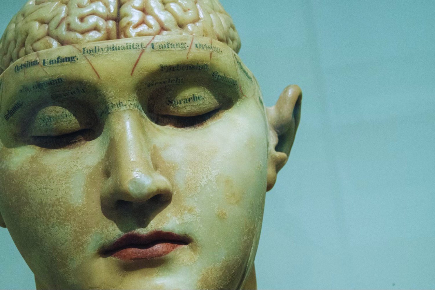El cerebro humano ya no es privado: la mente, próxima frontera del poder en el siglo XXI