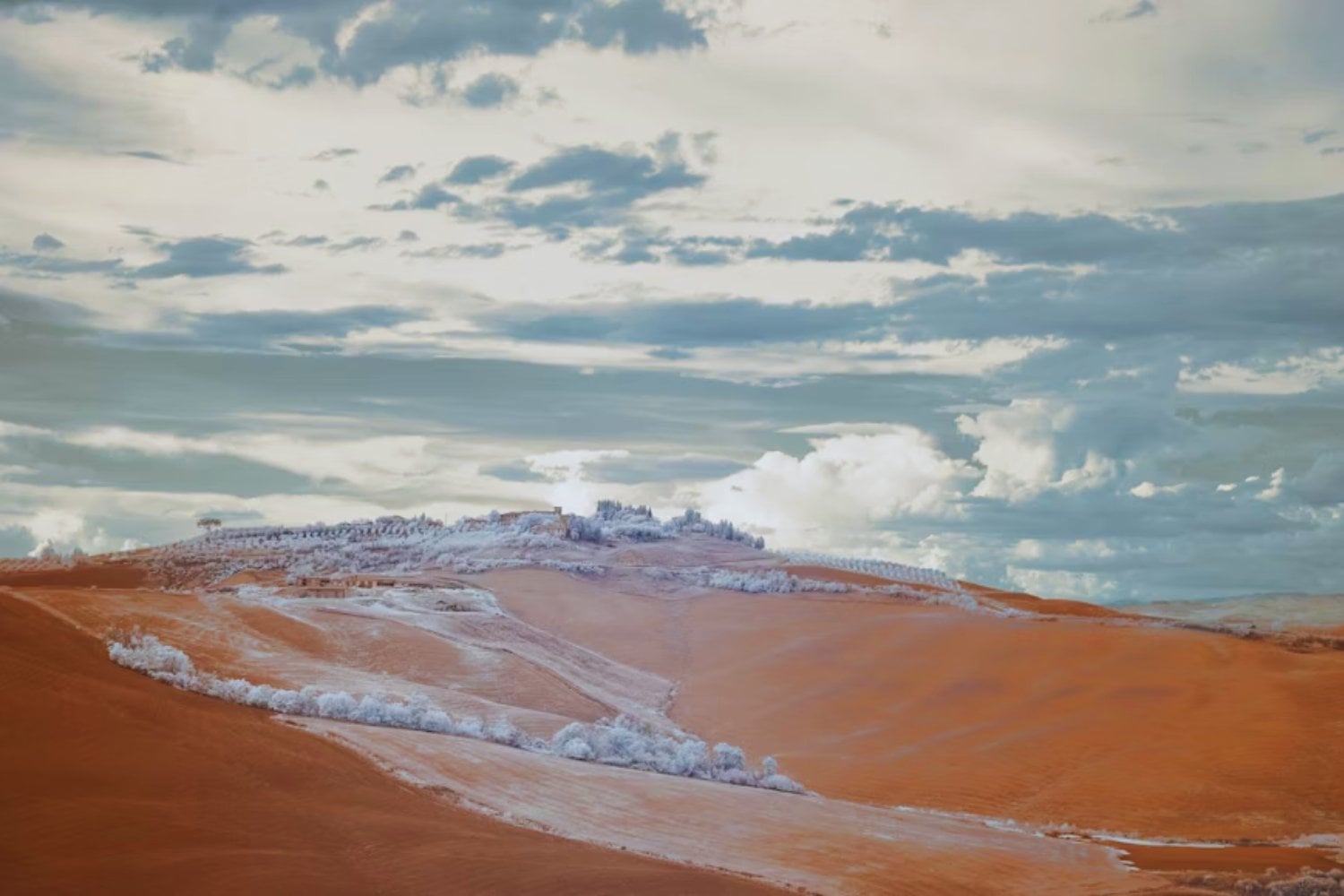 Una nevada cambia el rostro del desierto más árido del planeta y deja a la ciencia en alerta