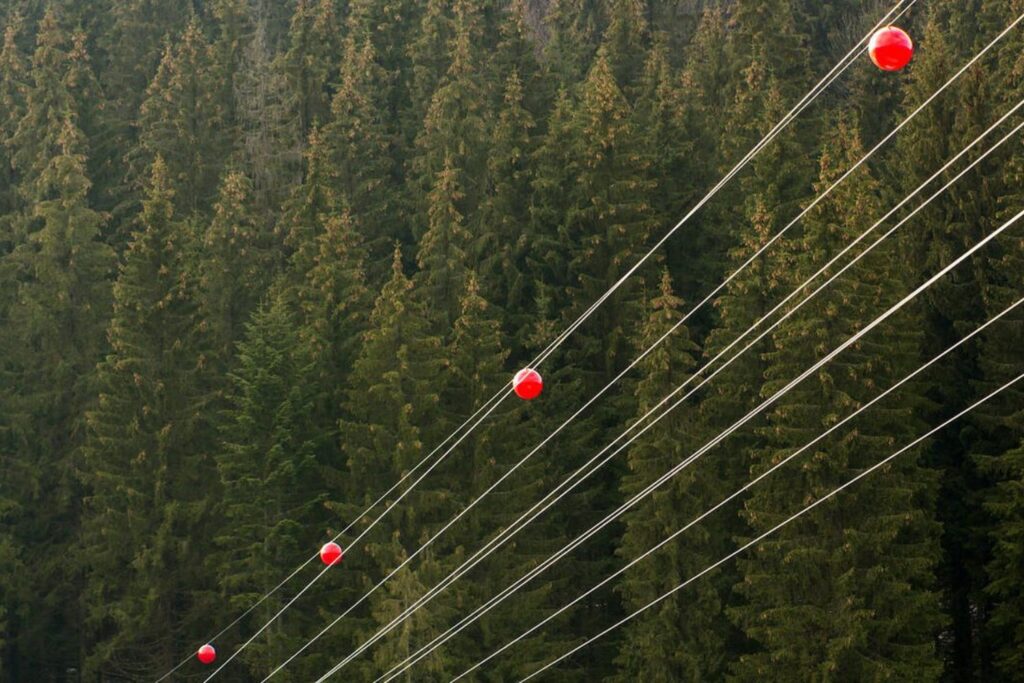 Las misteriosas bolas rojas en los cables no son lo que crees: su verdadero propósito podría salvarte la vida
